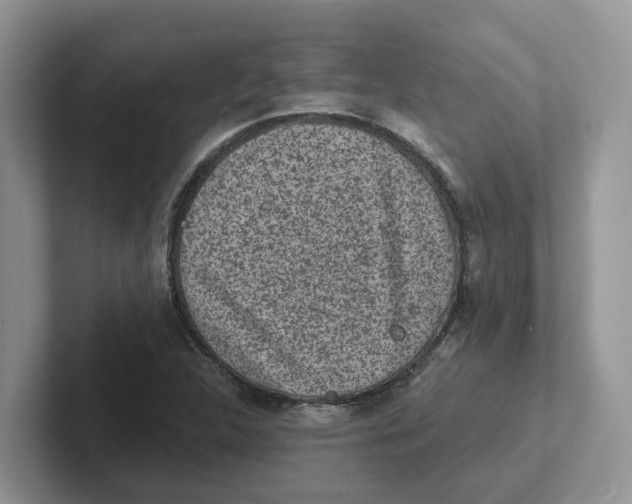 X0000101701312200807311424