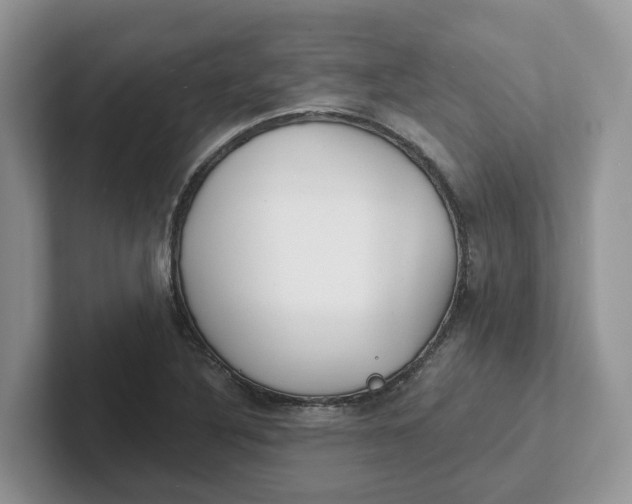 X0000101701316200807311424