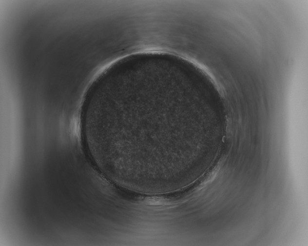 X0000101701319200807311424