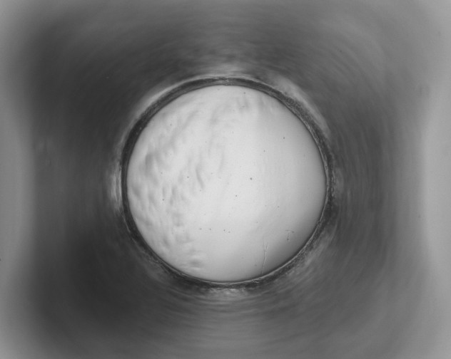 X0000101701320200807311424