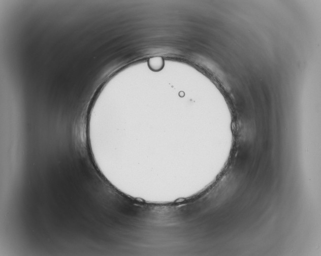 X0000101701322200807311424