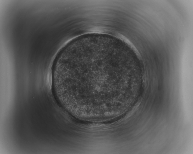 X0000101701323200807311424