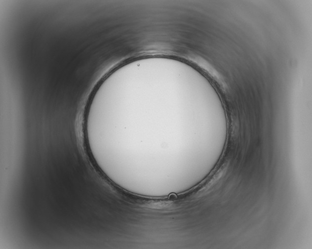 X0000101701325200807311424