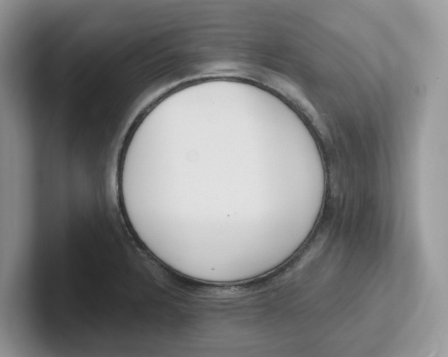 X0000101701328200807311424