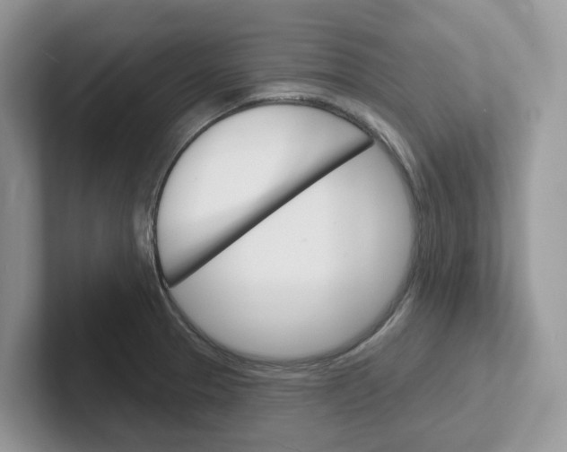 X0000101701329200807311424