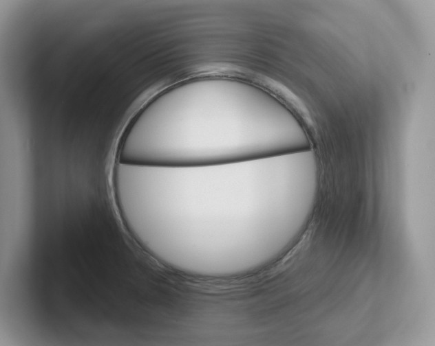 X0000101701330200807311424