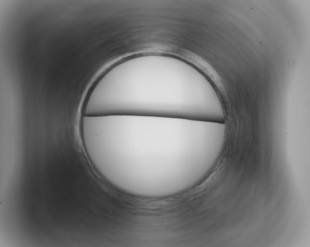 X0000101701332200807311424