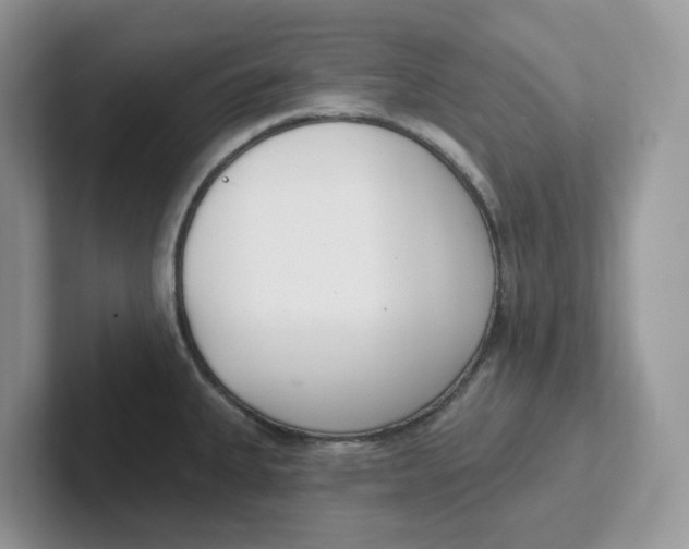 X0000101701335200807311424