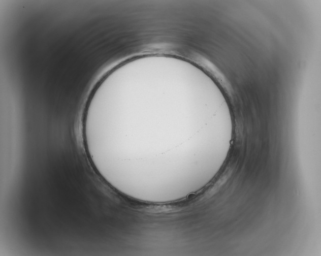 X0000101701336200807311424