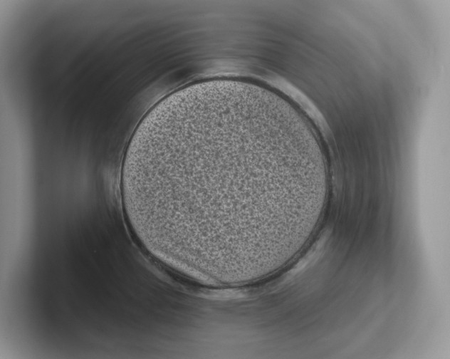 X0000101701337200807311424