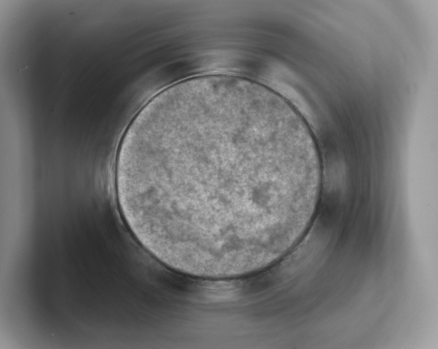 X0000101701338200807311424