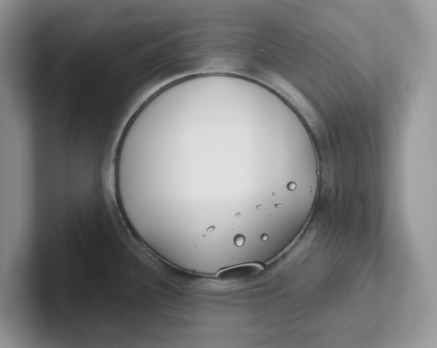 X0000101701340200807311424