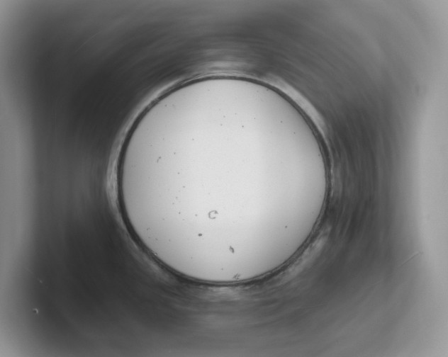 X0000101701341200807311424