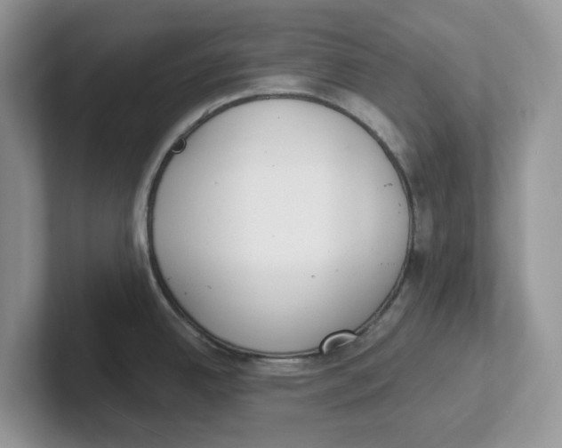 X0000101701342200807311424