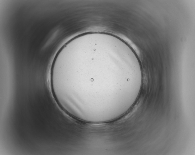 X0000101701343200807311424