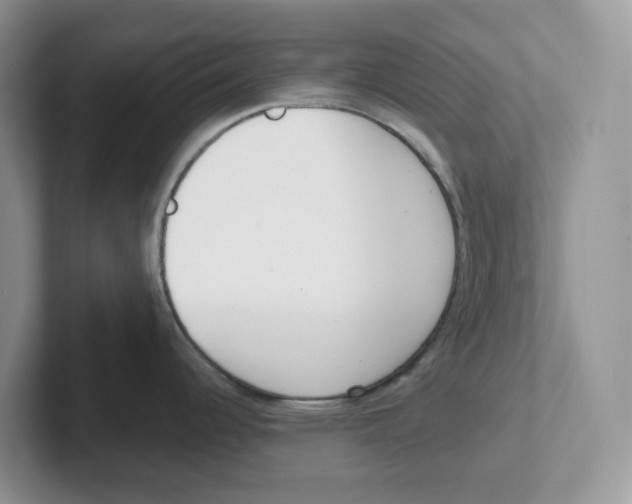 X0000101701344200807311424