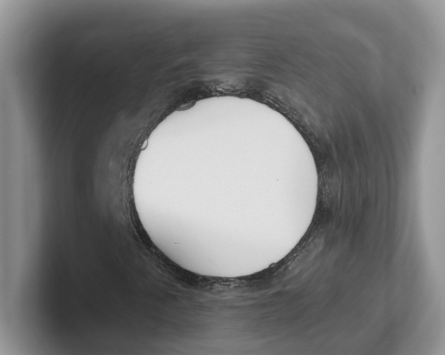 X0000101701345200807311424