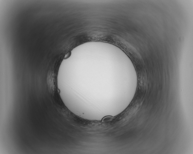 X0000101701346200807311424