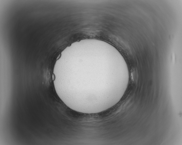 X0000101701347200807311424