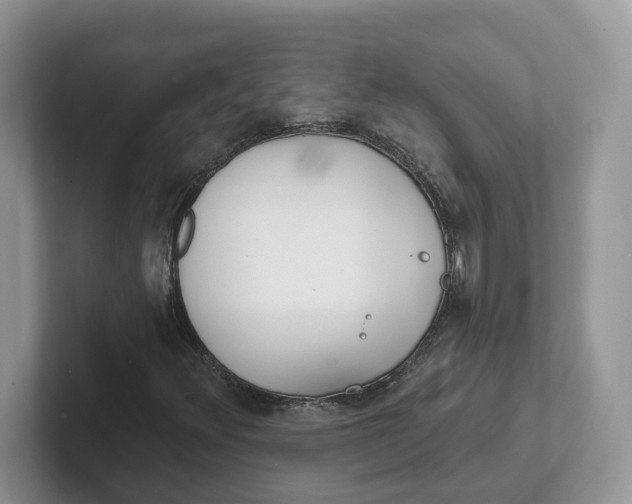 X0000101701348200807311424