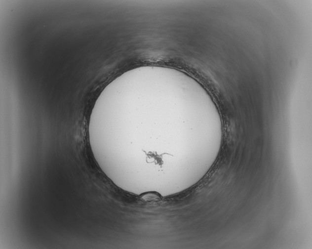 X0000101701349200807311423