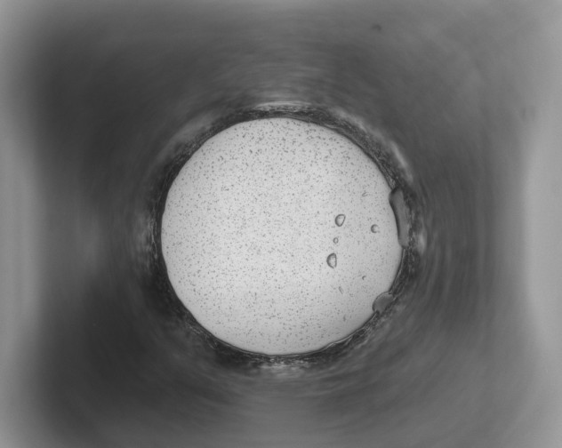 X0000101701351200807311423