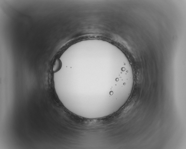 X0000101701352200807311423