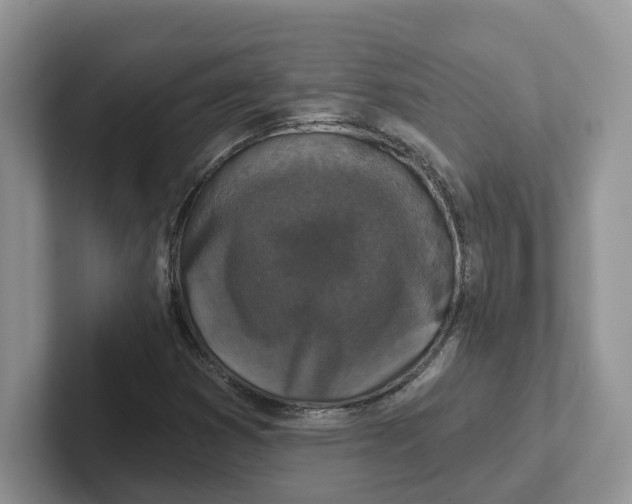 X0000101701353200807311423