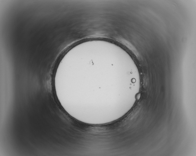 X0000101701356200807311423