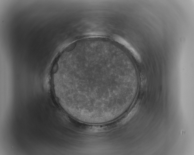 X0000101701357200807311423