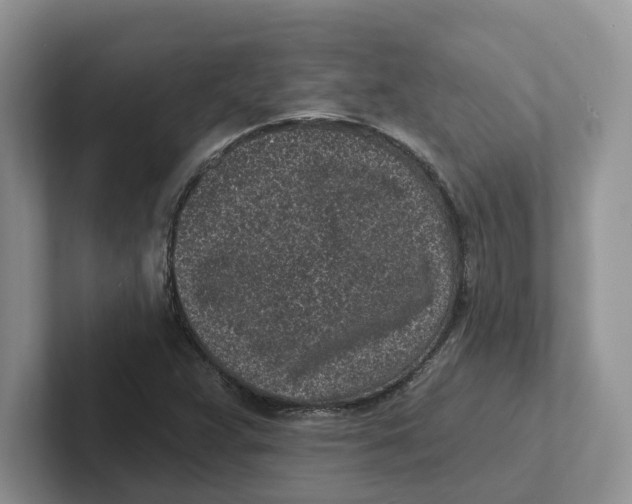 X0000101701359200807311423