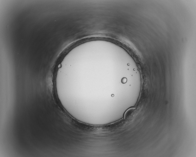 X0000101701360200807311423