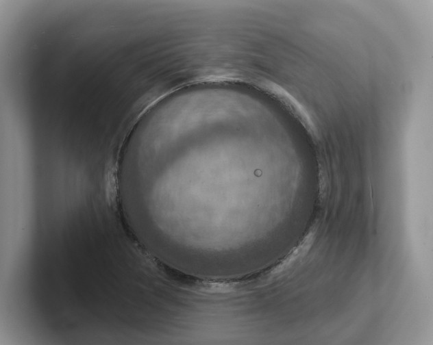 X0000101701361200807311423