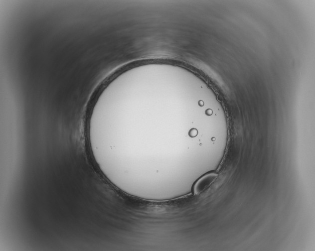 X0000101701364200807311423