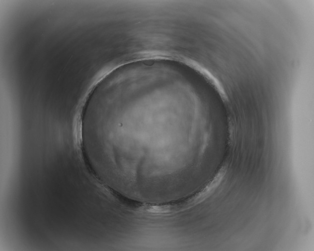 X0000101701365200807311423