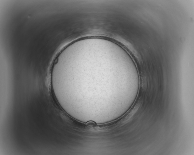 X0000101701366200807311423