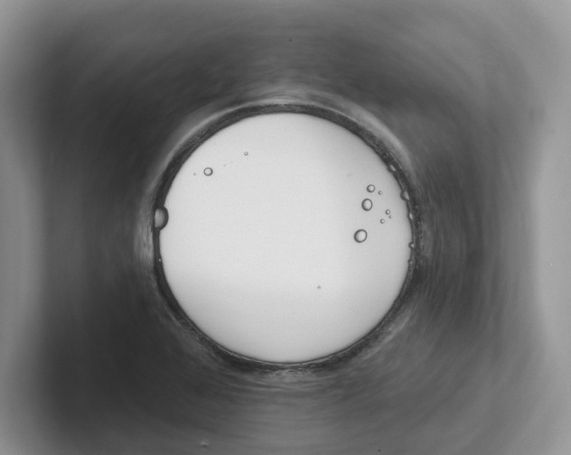 X0000101701368200807311423