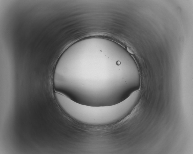 X0000101701369200807311423