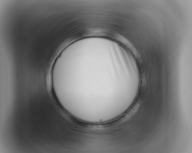 X0000101701370200807311423