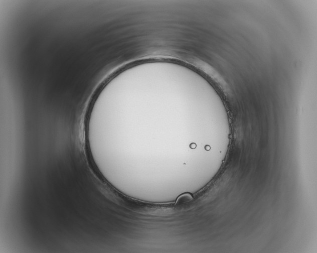 X0000101701372200807311423