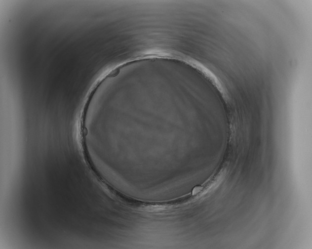 X0000101701373200807311423