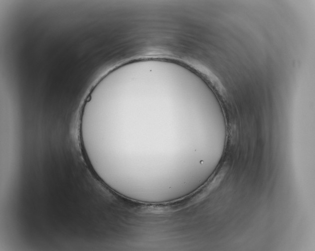 X0000101701374200807311423