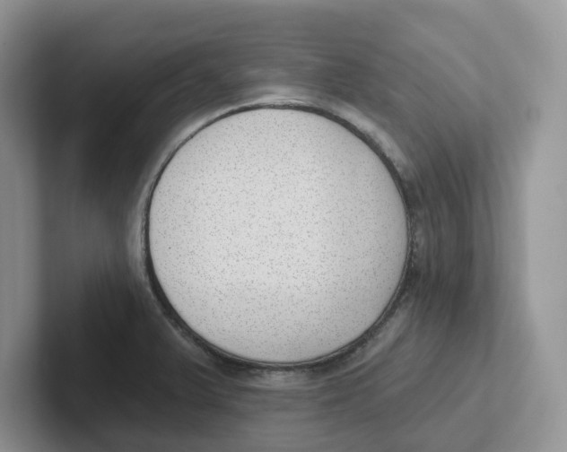 X0000101701375200807311423