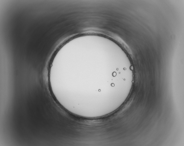 X0000101701376200807311423