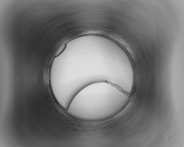 X0000101701377200807311423