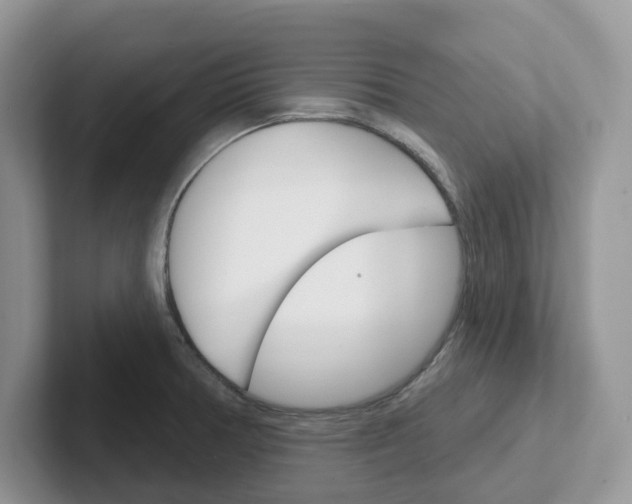 X0000101701378200807311423