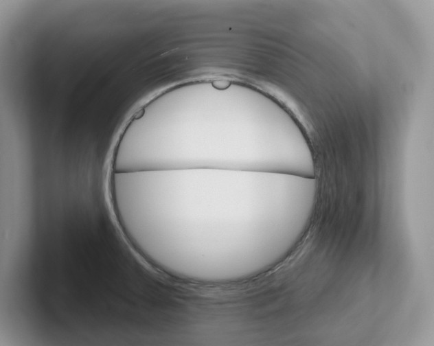 X0000101701379200807311423