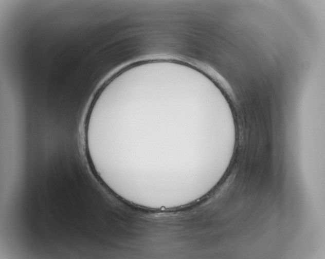 X0000101701380200807311423