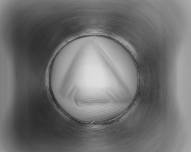 X0000101701382200807311423