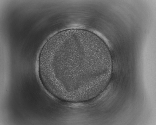 X0000101701383200807311423